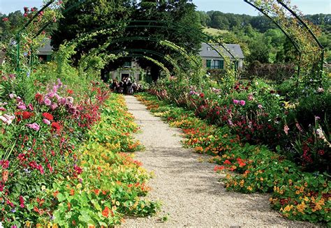 Exploring the Wonders of Stanly Sweetheart's Enchanted Botanical Paradise